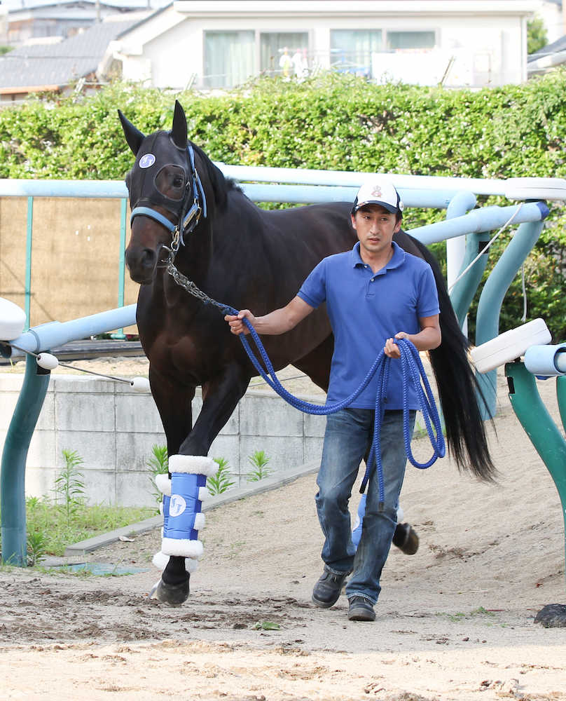 【日本ダービー】（６）サトノアーサー　馬場回復は好材料