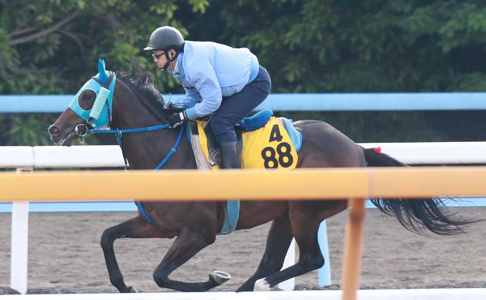 【マーメイドＳ】クインズミラーグロ　馬なり単走で力みなし