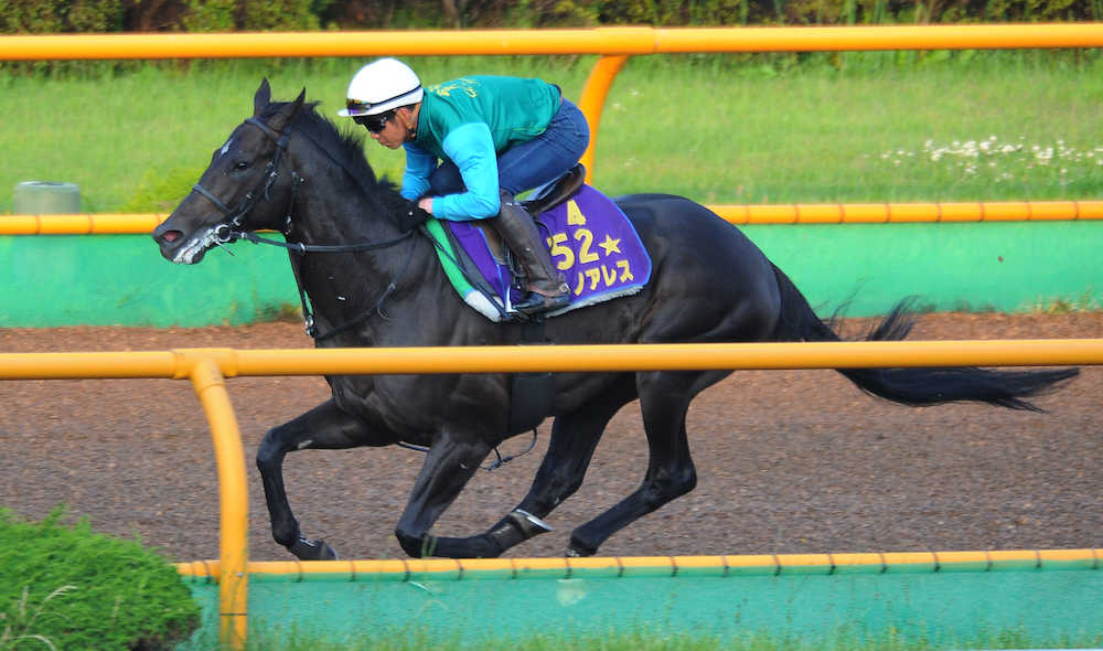 【巴賞】コンビ復活ルメールで！逆襲の２歳王者サトノアレス