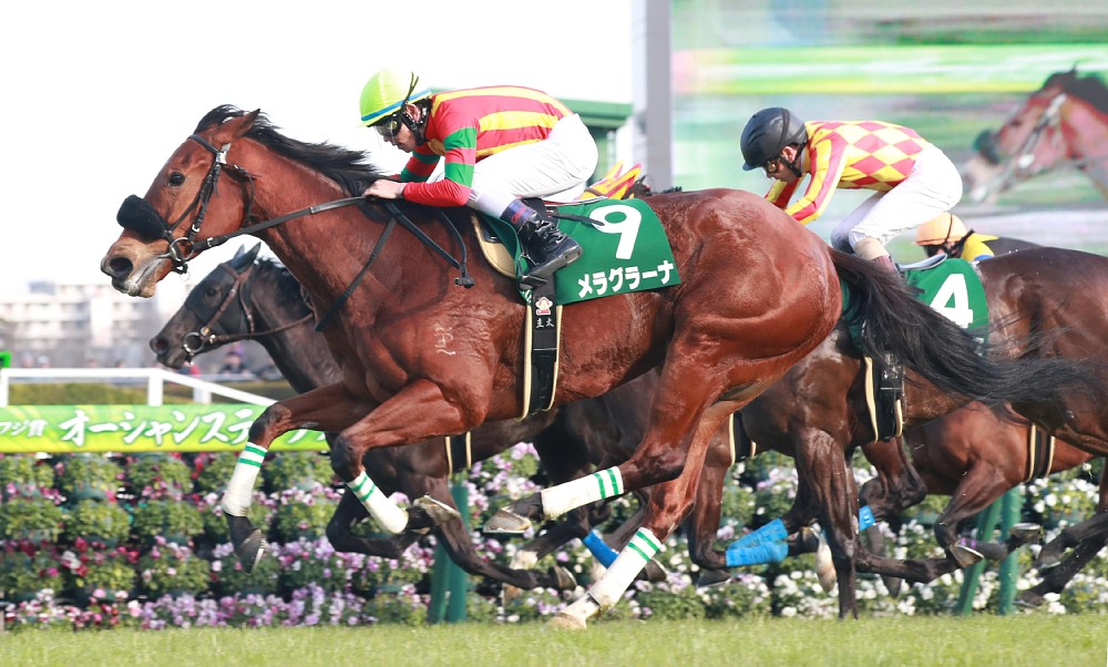 【ＣＢＣ賞】メラグラーナは２枠３番　９歳スノードラゴンは６枠１１番