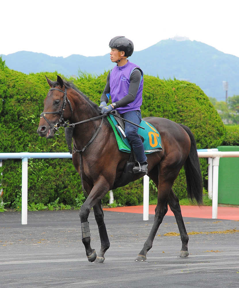 札幌で見たくなる藤沢和２騎、レイエンダ＆タワーオブロンドン