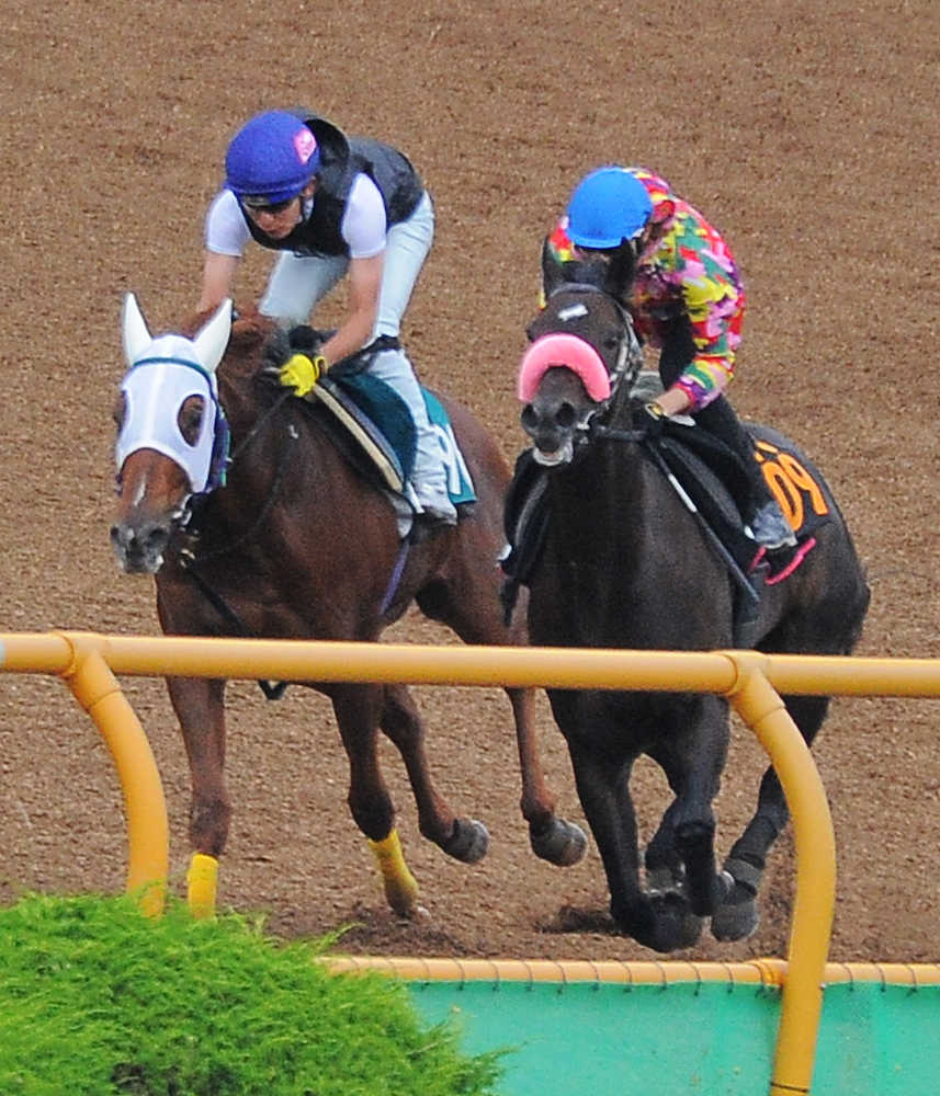 【函館２歳Ｓ】アリア　３歳馬と同入も…丸山は辛口のジャッジ