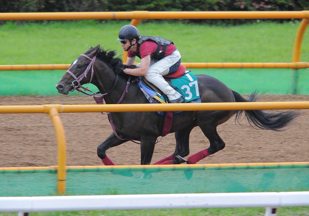 【函館２歳Ｓ】プランタン伸びた！ラスト１２秒８躍動感