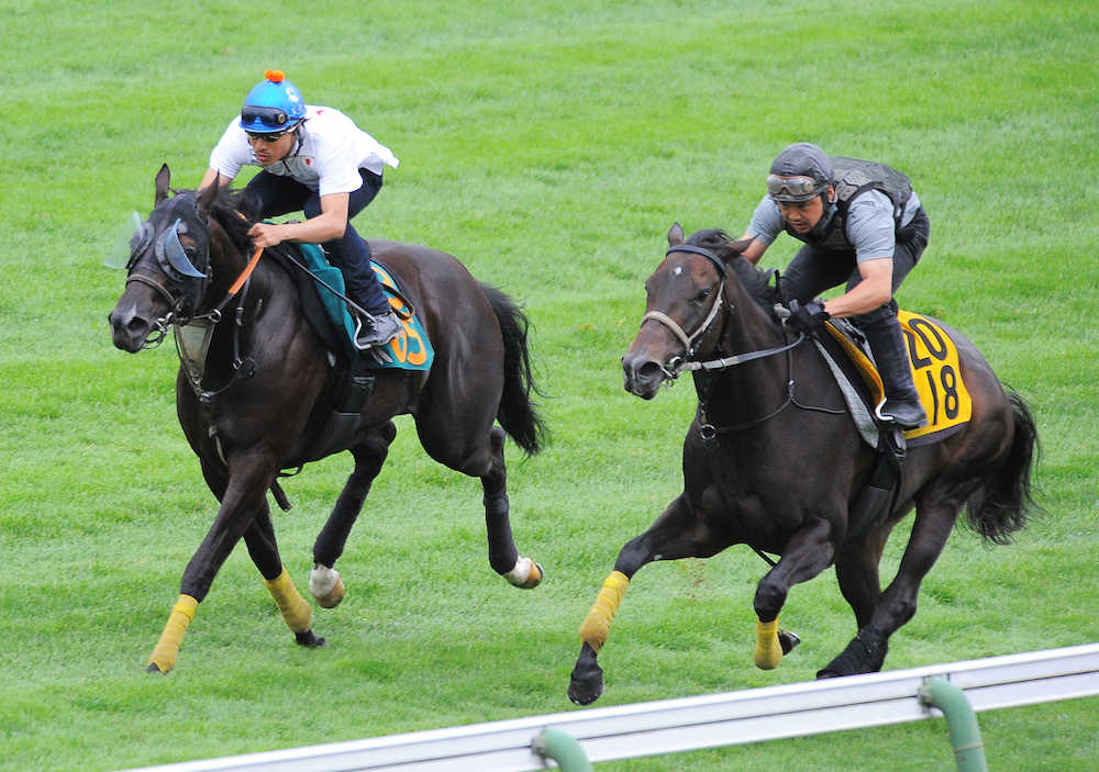 【函館２歳Ｓ】アレグロ芝でも速い！４１年ぶり芝未経験馬Ｖへ