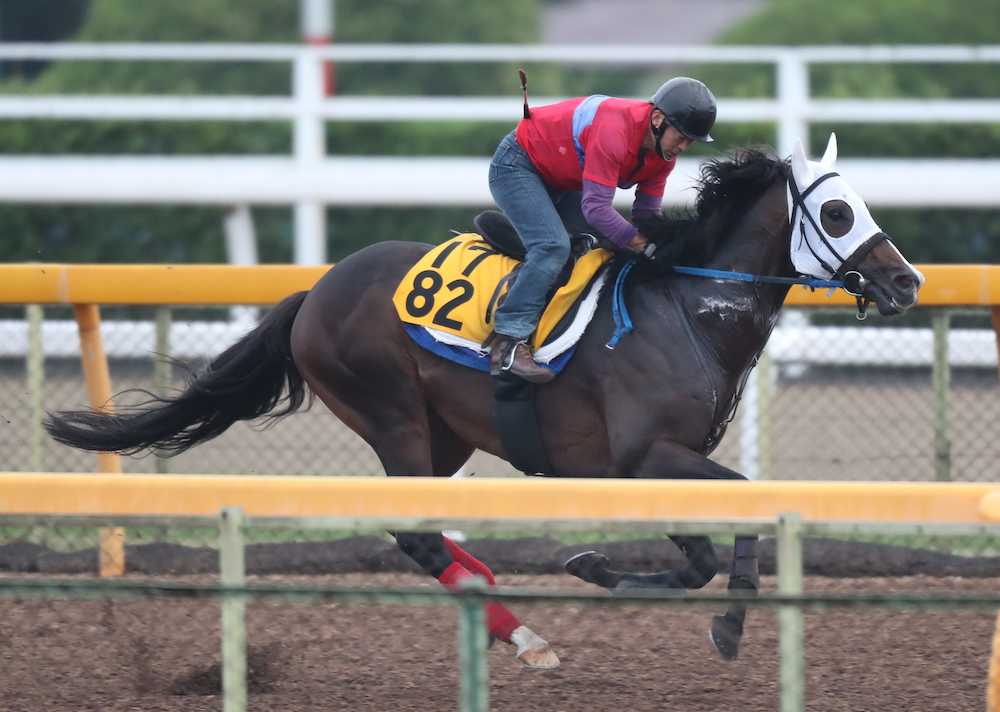 【中京記念】アウラート　軽快１２秒８！仕上がりに満足