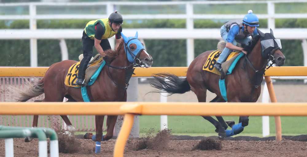 【福島テレビＯＰ】２馬身先着！道悪巧者のハニーは“雨乞い”