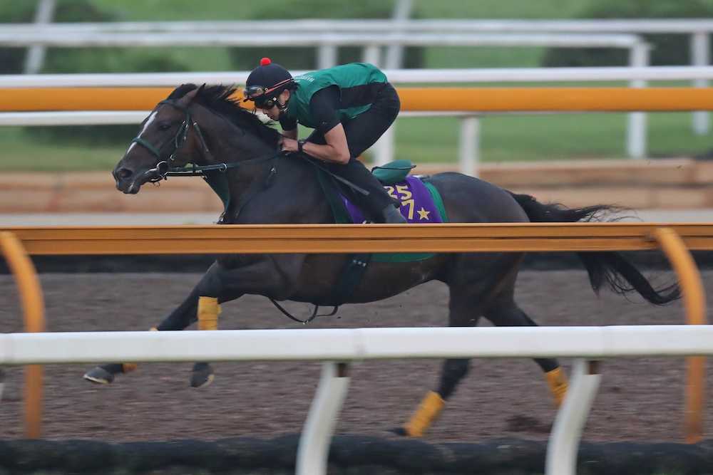 【中京記念】ワンアンド、ピークトラム橋口勢ムード◎