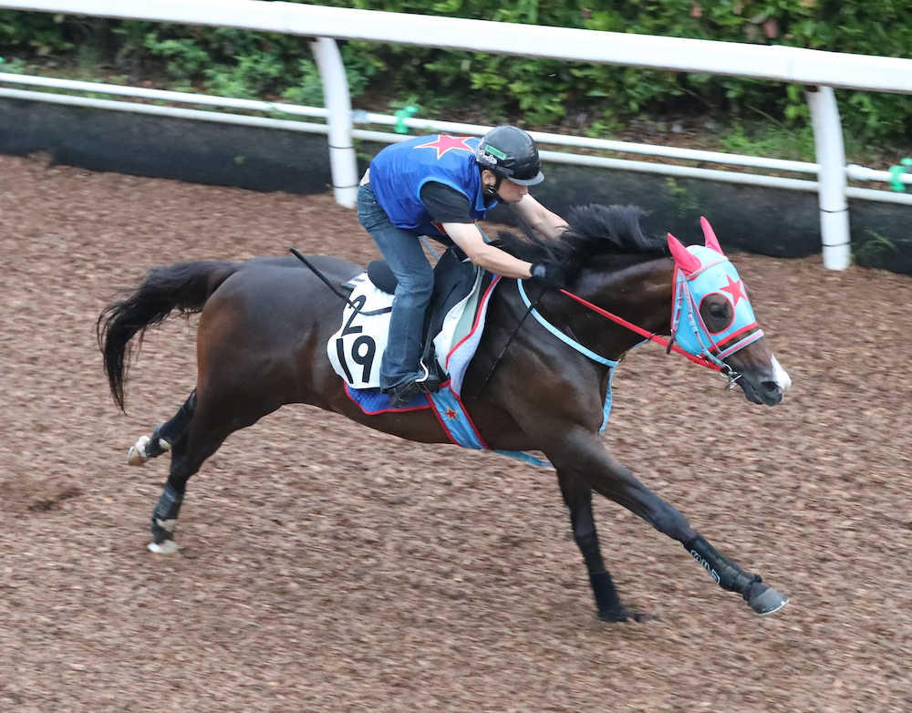 【中京記念】“夏男”ガニオン全開！グンと加速４Ｆ５２秒９