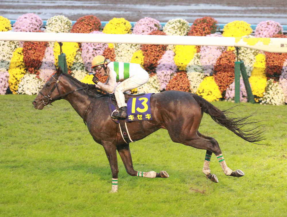 【菊花賞】デムーロ、キセキを称賛「素晴らしい馬。楽勝だった」