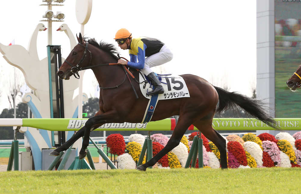 ＜京都５Ｒ新戦＞Ｃ・デムーロを背に新馬戦を快勝したサンラモンバレー