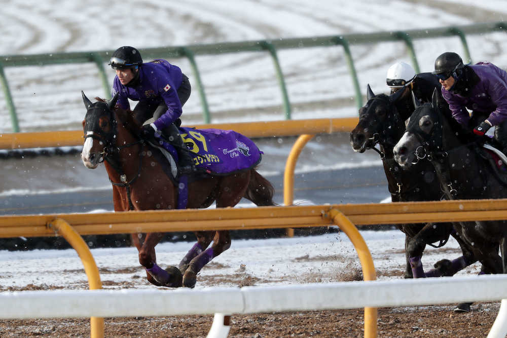 【有馬記念１週前追い】シュヴァル遅れも友道師「ＪＣと同じ」