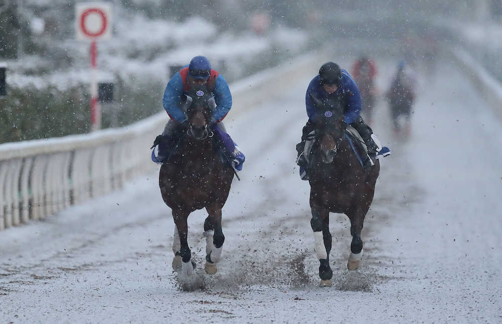 【有馬記念１週前追い】ミッキークイーン　池江師「良い動き」