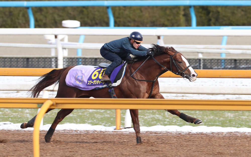 【有馬記念１週前追い】リチャード万全　ミルコ「とてもいい」