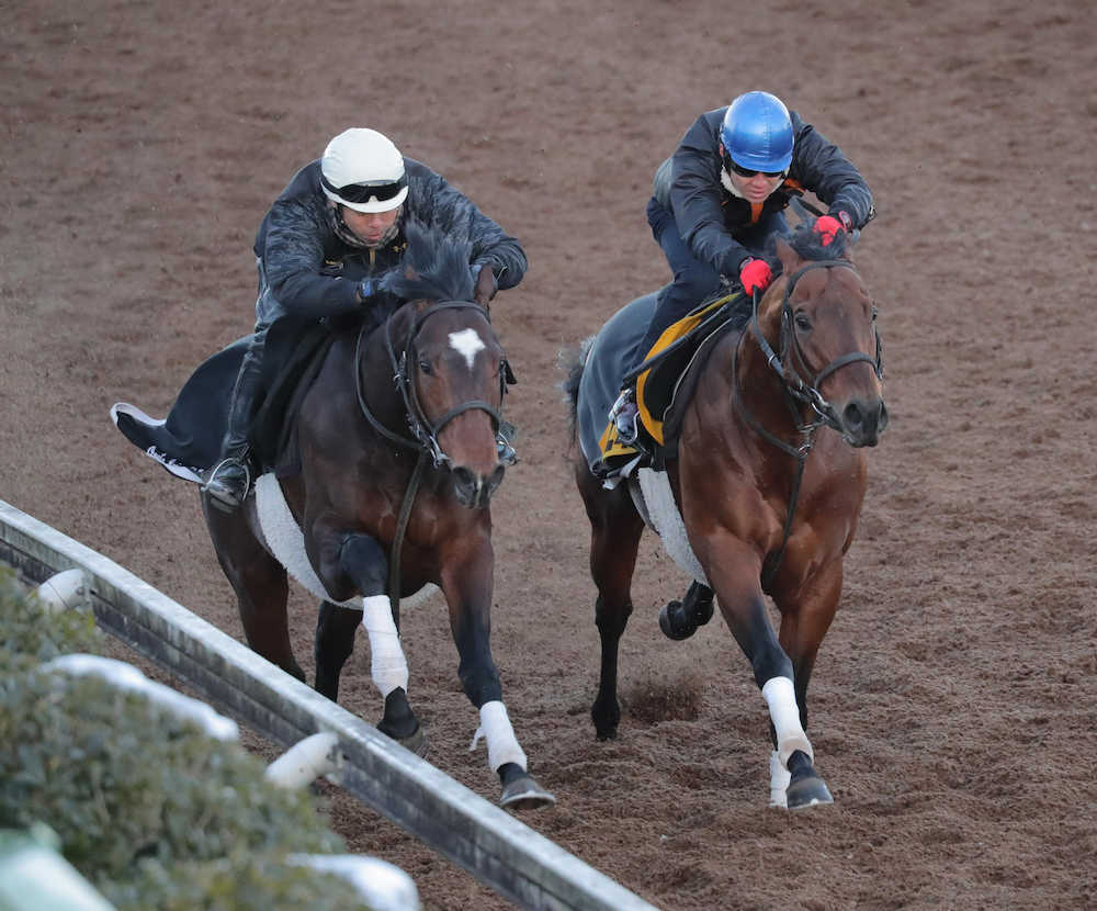 【根岸Ｓ】ブラゾンドゥリス、冬場いいタイプ