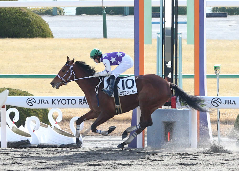荻野極を背に京都３Ｒ新馬戦を快勝したカリブメーカー