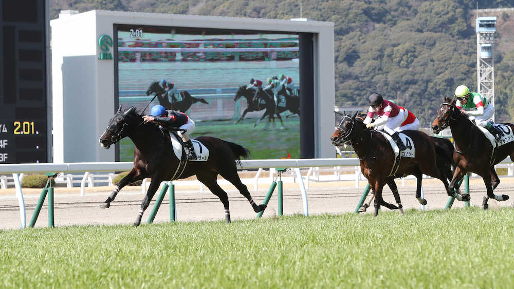 【小倉新馬戦】ダンサール　逃げ切りＶ！木幡巧の積極策実る