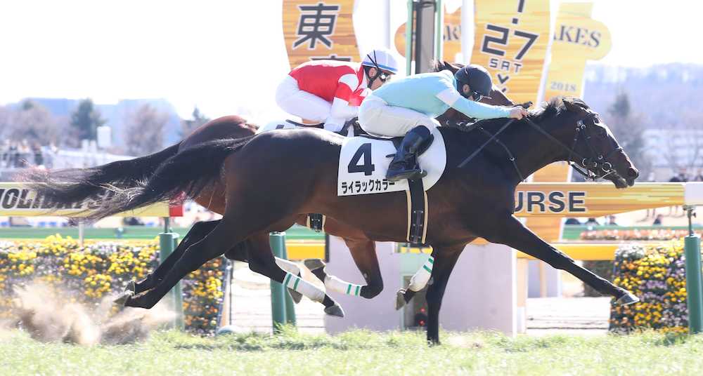 【東京新馬戦】ライラック快勝！藤沢和師「レースが上手」