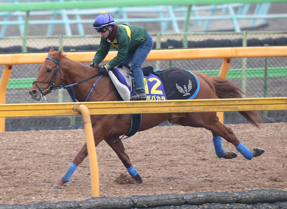 【高松宮記念】気温とともにバカラ上昇！気分よく４Ｆ５４秒５