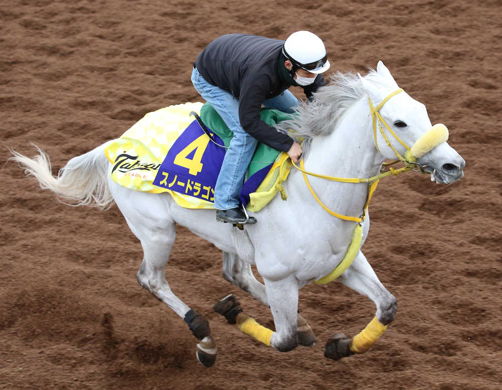 【高松宮記念】スノー　坂路でリズミカル、馬なり１２秒７