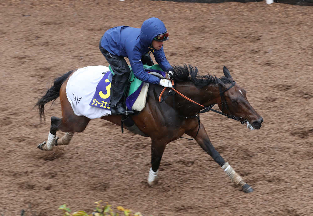 【高松宮記念】ジューヌ　馬なり１３秒１、師は激流の展開希望