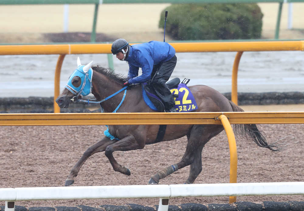 【高松宮記念】レーヌミノル　馬場を考慮、終始馬なり７４秒６