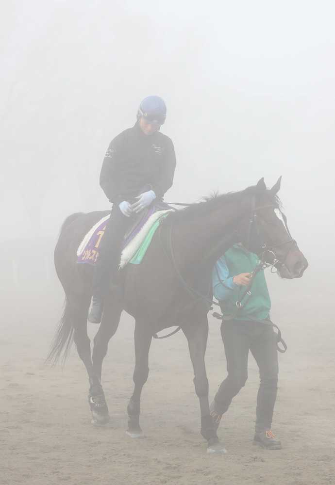 濃霧の中、調教を終え馬場を出るソウルスターリング