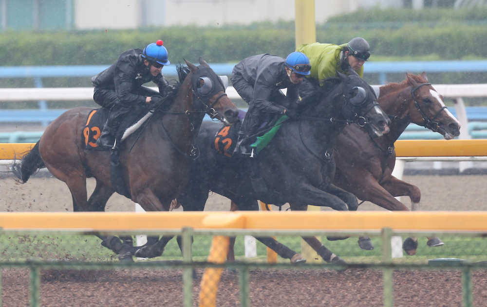 【青葉賞】重賞初Ｖへ！サミット　３頭併せで強烈伸び披露