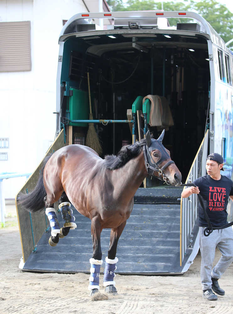 東京競馬場に到着したエポカドーロは元気いっぱいで馬運車を降りる（撮影・近藤　大暉）