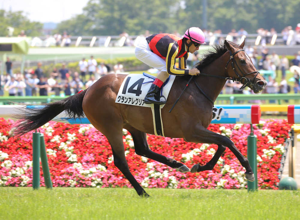 【東京５Ｒ新馬戦】良血グランアレグリア、新馬戦コースレコードで完勝