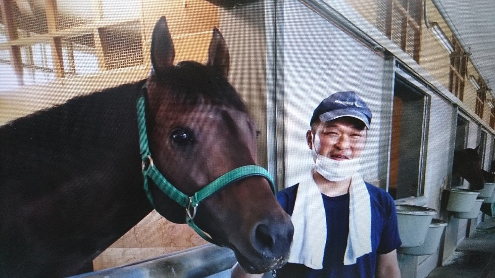 ミッキーロケット、厩舎でのんびり　秋は京都大賞典からＪＣ、有馬記念