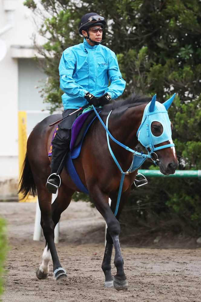 【開成山特別】オジュウ　平地１勝へ　雨予報も重馬場問題なし