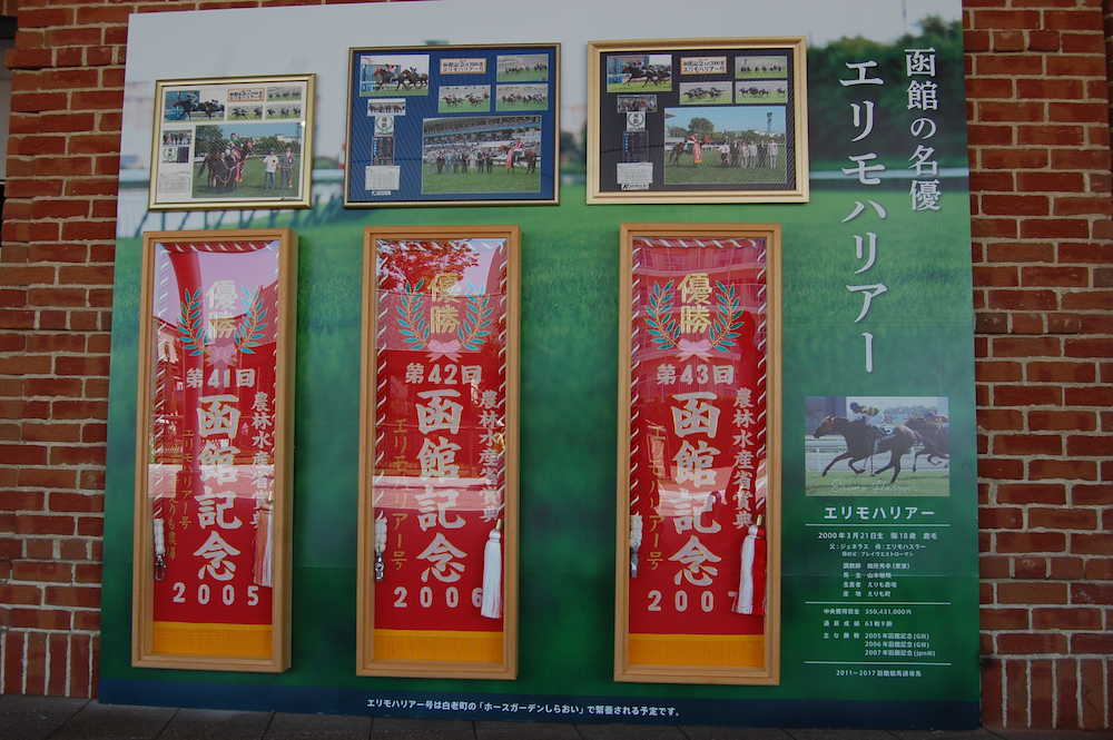 １４、１５日の両日、函館競馬場に飾れたエリモハリアーの函館記念３連覇の優勝レイ　
