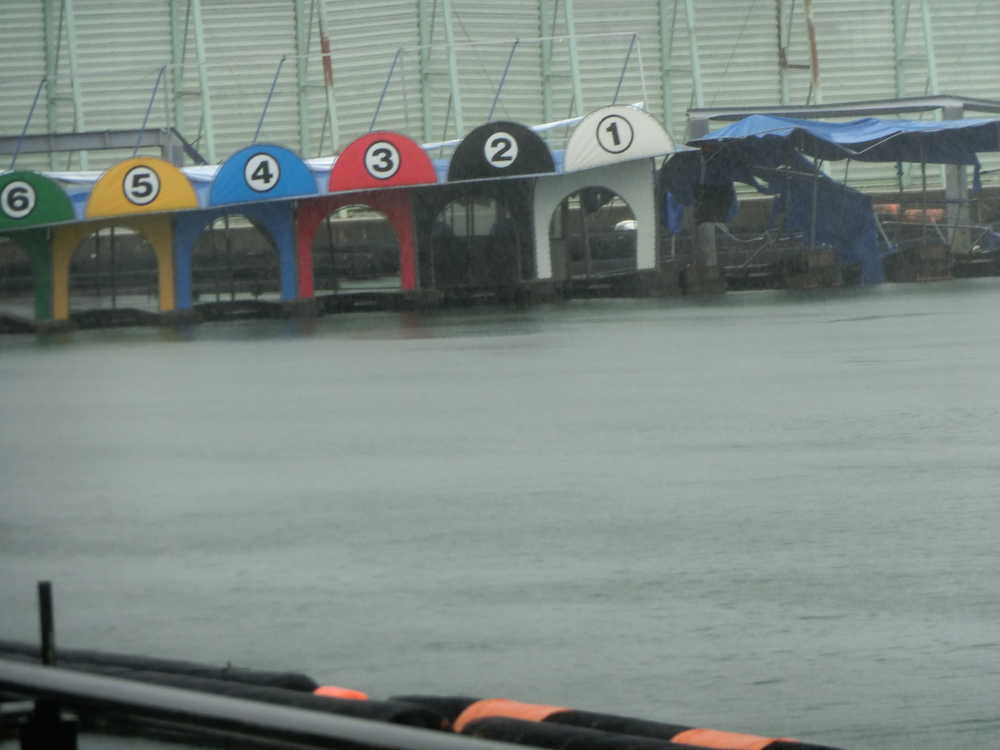 ボートレース鳴門、全日程中止　台風２１号の影響で施設損壊