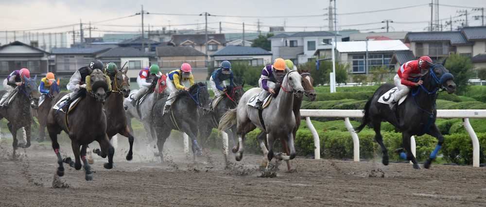 【画像・写真】菜七子、最後方から大外一気！１８年南関初勝利