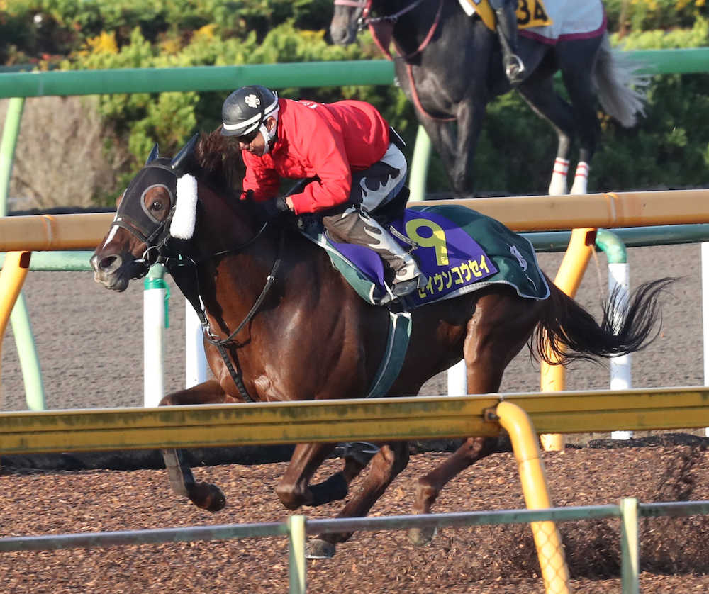 【ＪＢＣスプリント】セイウンコウセイ、スピード感満点