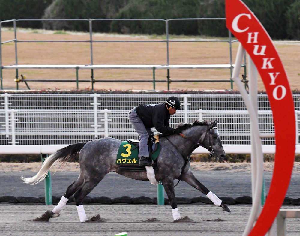 【チャンピオンズＣ】パヴェル、１５年ぶり外国馬Ｖへ日本仕様の蹄