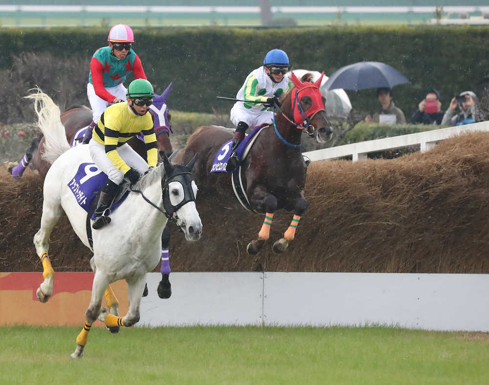 中山大障害　勢いよく障害を飛び越えるニホンピロバロン（右、左はアップトゥデイト）＝撮影・沢田　明徳