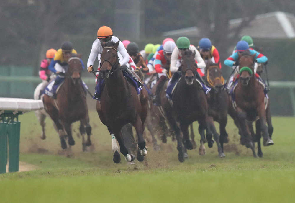 【有馬記念】キセキ５着　川田納得「具合は良かった」