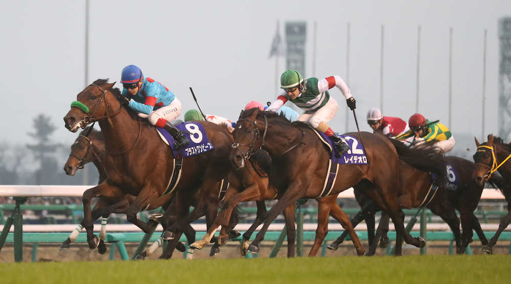 【画像・写真】【有馬記念】レイデオロ底力２着！ルメール涙も武超えＪＲＡ年間最多賞金更新