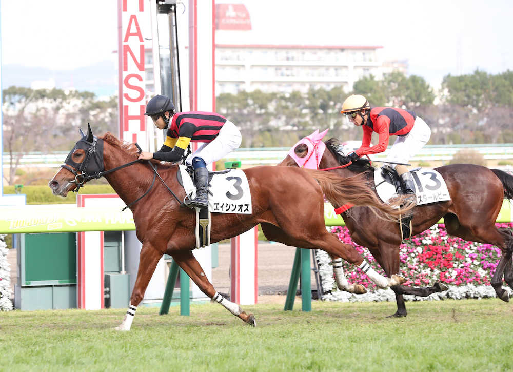 【阪神新馬戦】オズ差し切りＶ！荻野極「将来が楽しみ」