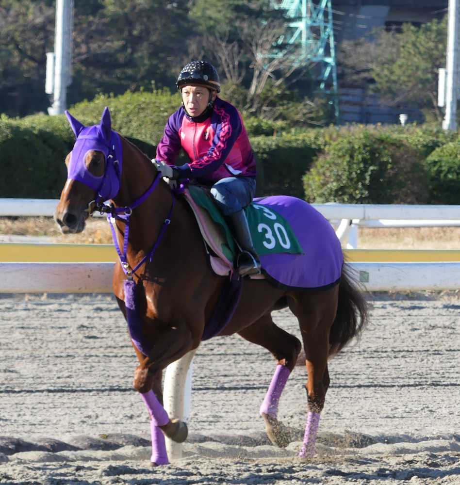【東京大賞典】トゥルー軽快　イメージ通りの馬なり１２秒５