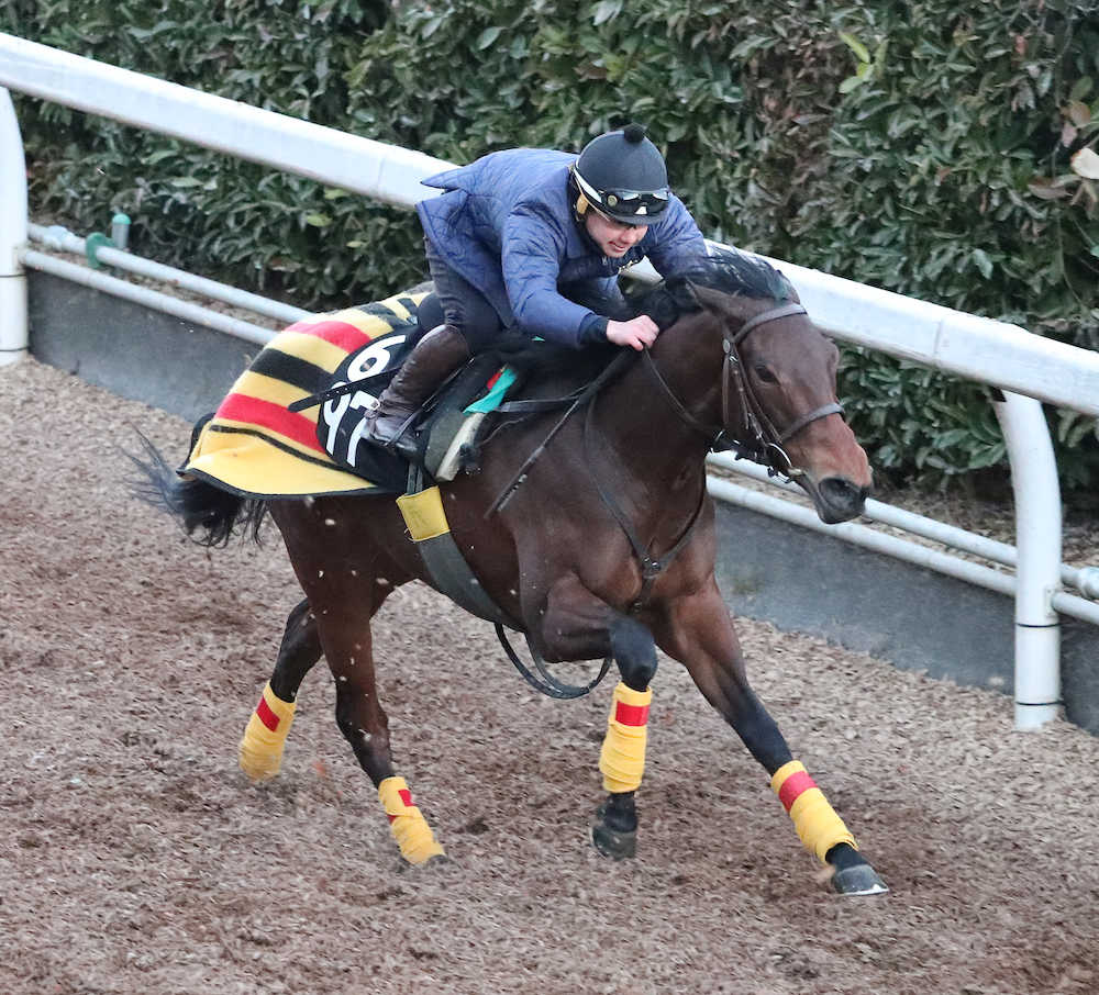 【シンザン記念】放牧帰りデルタ、坂路キビキビ１２秒２