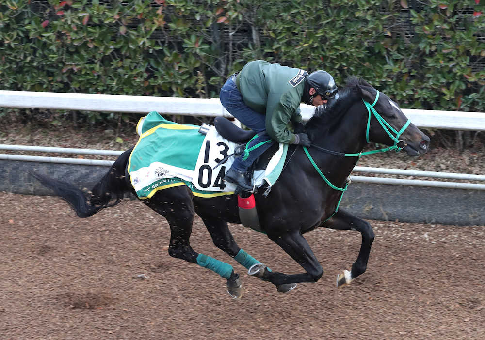 【中山金杯】タニノフランケル、ハンデも味方に初重賞Ｖへ