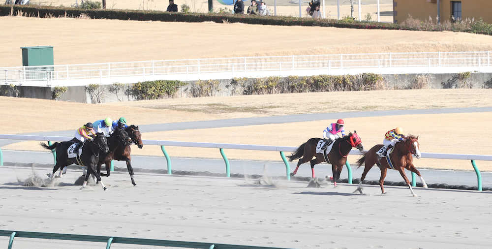 【中京９Ｒ】菜七子　猛追３着、今年初ＪＲＡ馬券圏内