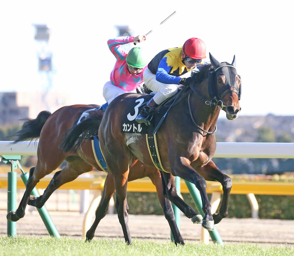 【東京９Ｒ・セントポーリア賞】ダービー馬の全弟カントルが２勝目