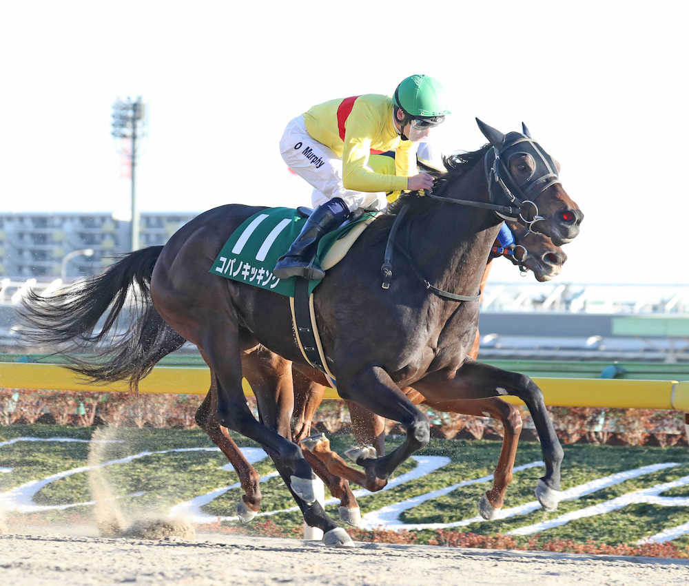 【根岸Ｓ】コパノキッキング重賞連勝！次走・フェブラリーＳは菜七子がＧ１初騎乗へ