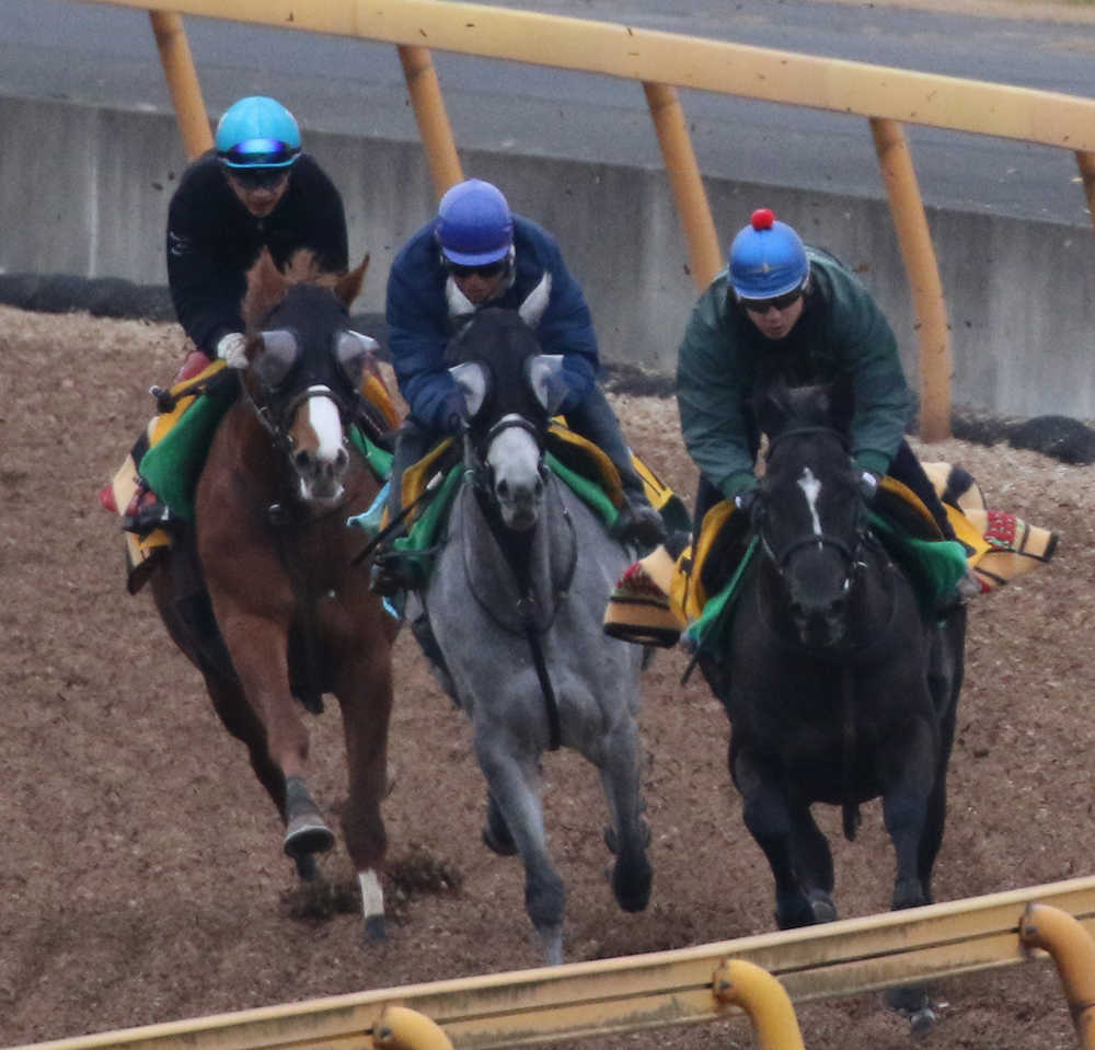 【京都牝馬Ｓ・水曜追い】アルーシャ　藤沢和師は期待「穏やかに走れている」