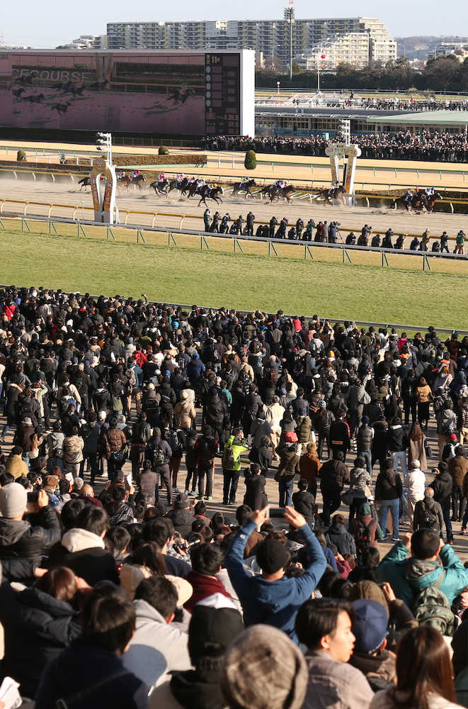 フェブラリーＳの藤田騎乗で大観衆が詰め掛けた東京競馬場