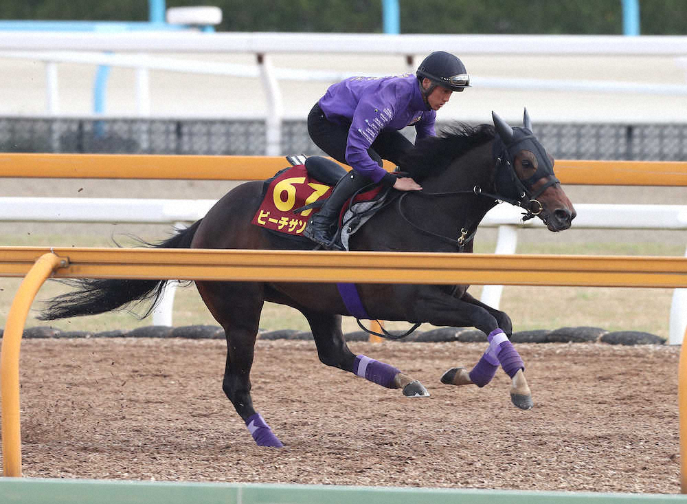 【オークス】ビーチサンバ　直線サッと、2400を歓迎