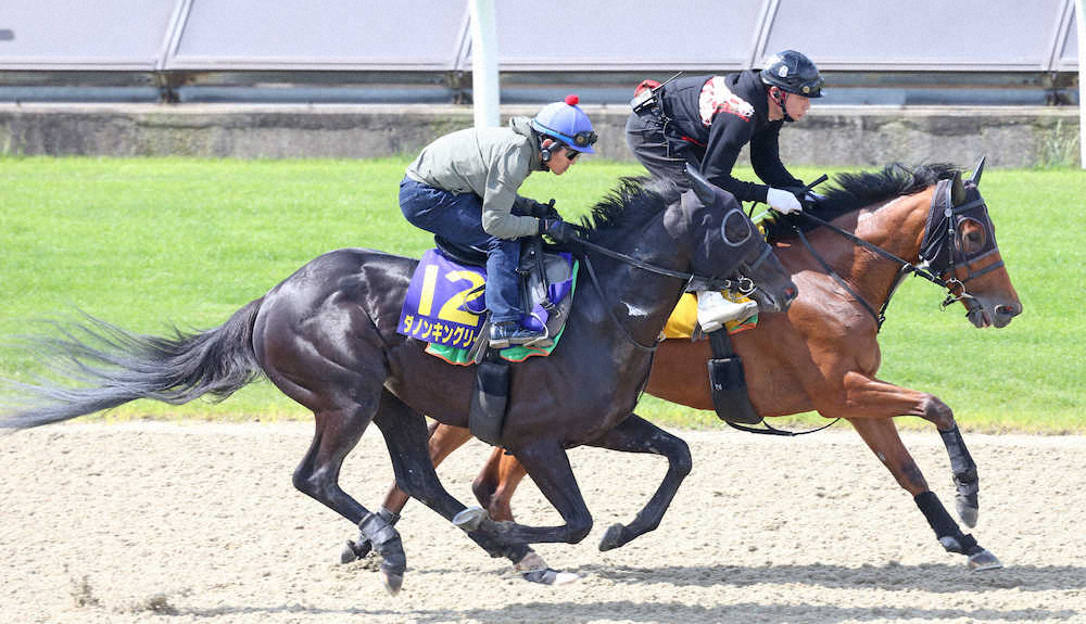 【日本ダービー】キングリー調和　戸崎と呼吸バッチリ闘志全開